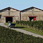Le bâtiment de stockage / The wine ware house