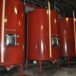Les réservoirs de vinification / The vinification tanks