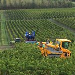 Un millésime 2020 prometteur au Château Puyfromage : Vin de Bordeaux